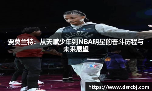 乐盈VI官网