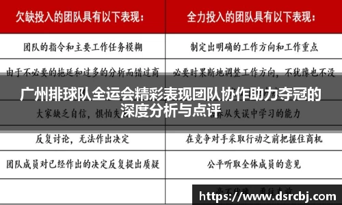 乐盈VI官网